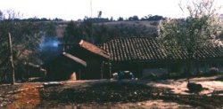 panul.jpg (17176 bytes)