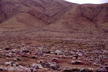 vista1.jpg (10521 bytes)